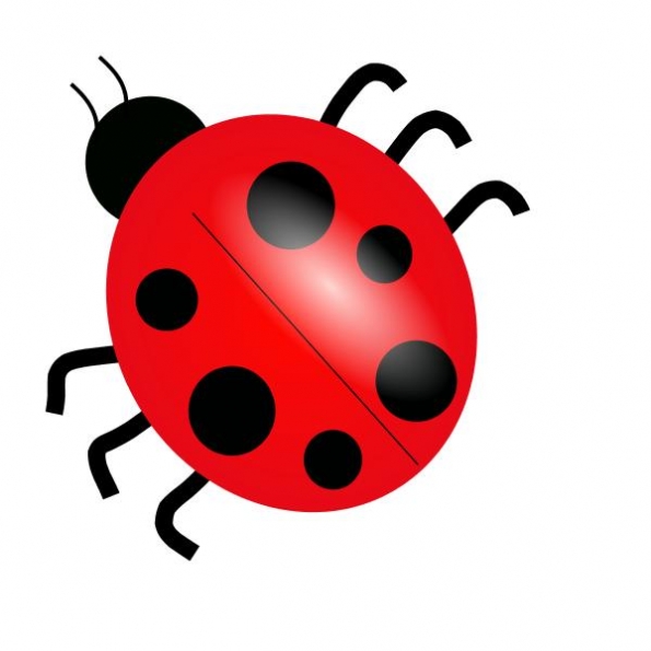 595x595 Bugs And Insects Clipart Kid
