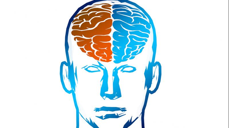 800x448 Brains Clipart Mind Reading
