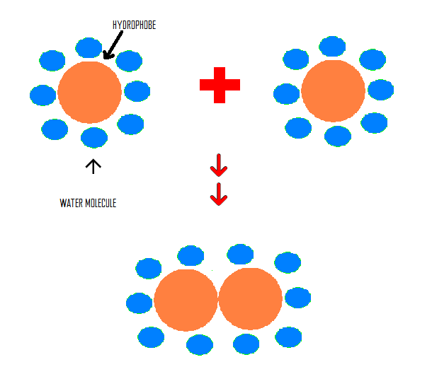 610x553 Hydrophobic Interactions