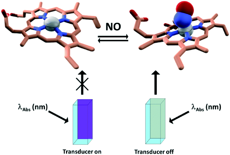 981x662 Modern Fluorescence Based Concepts And Methods To Study