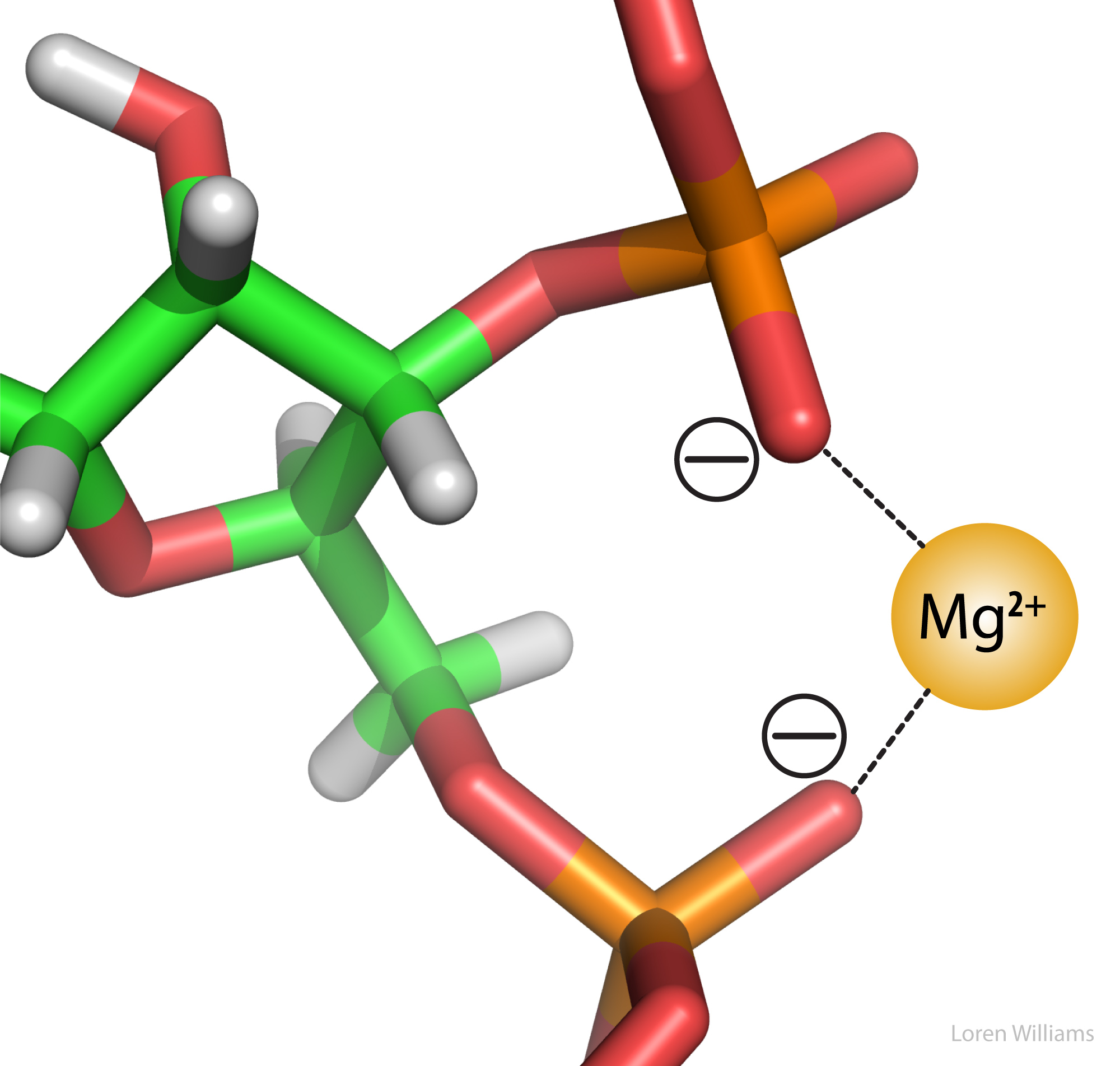 2000x1904 Molecular Interactions (Noncovalent Interactions)