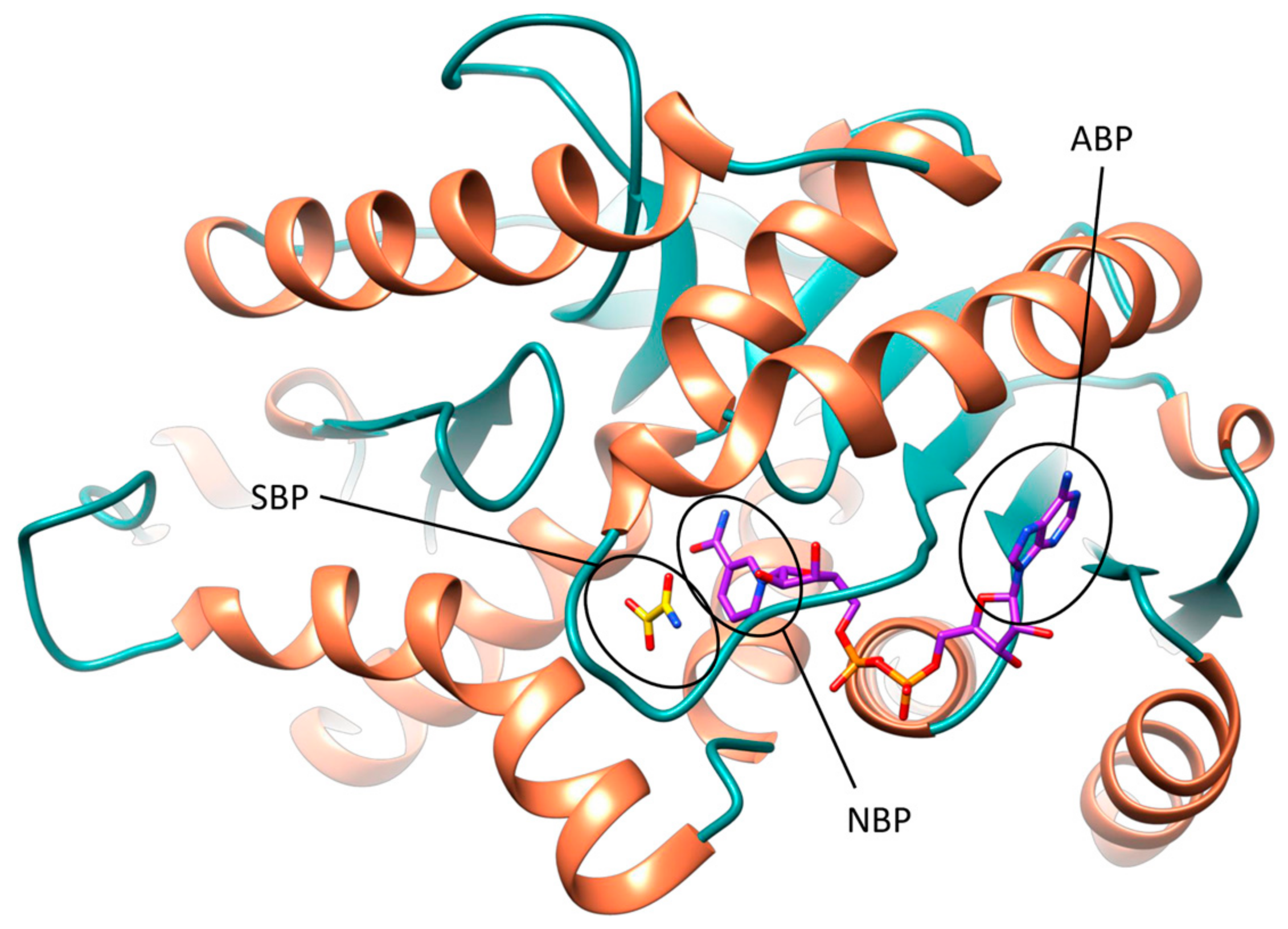 2262x1632 Molecules Free Full Text Three Dimensional Analysis