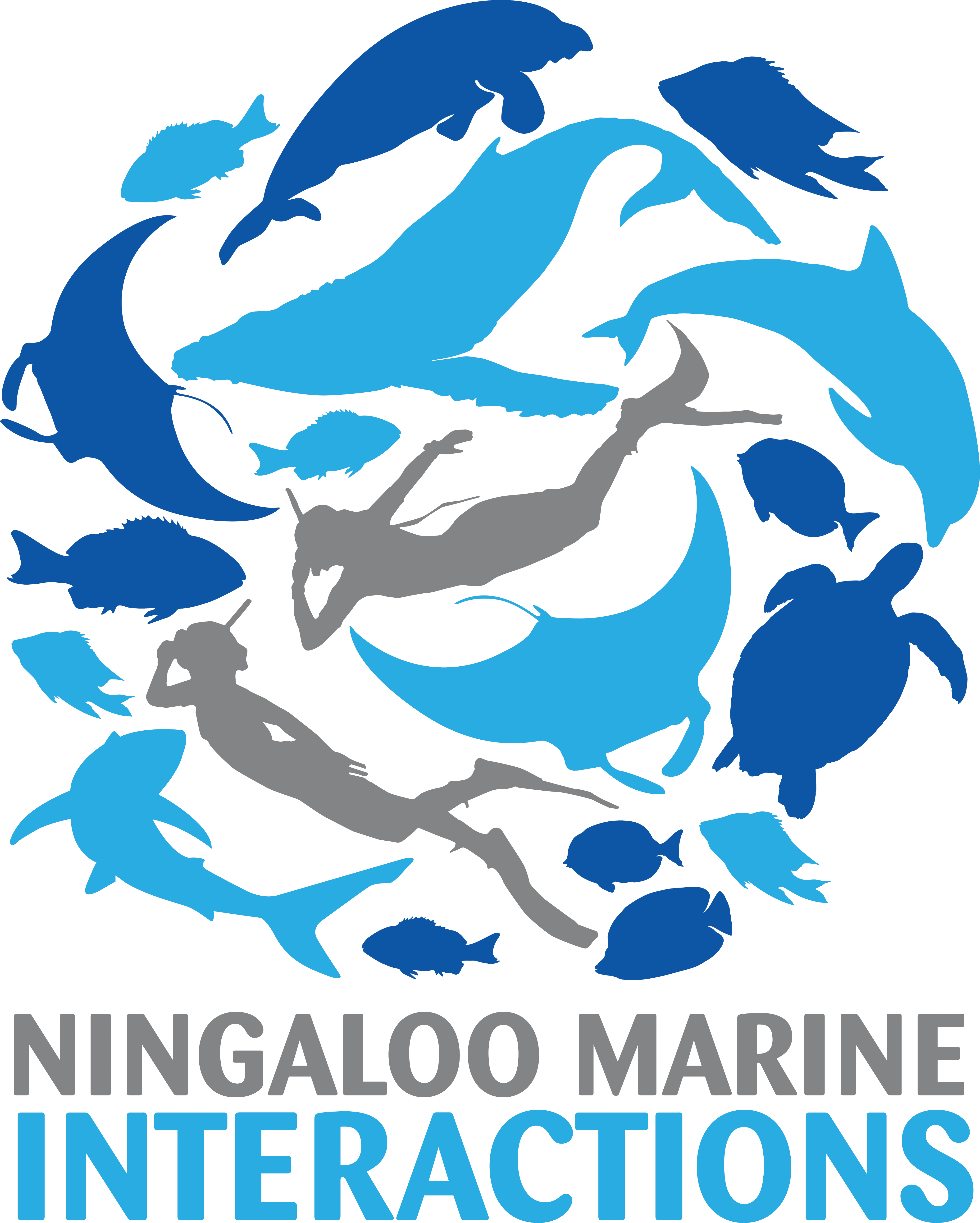 4135x5159 Ningaloo Marine Interactions