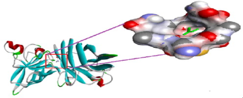496x200 Spectroscopic And Molecular Modeling Studies On The Interactions