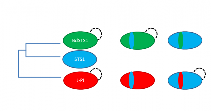 677x358 The Interactions They Are A Changin' The Complex Role Of Protein