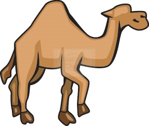 300x253 Camel Clipart Camel