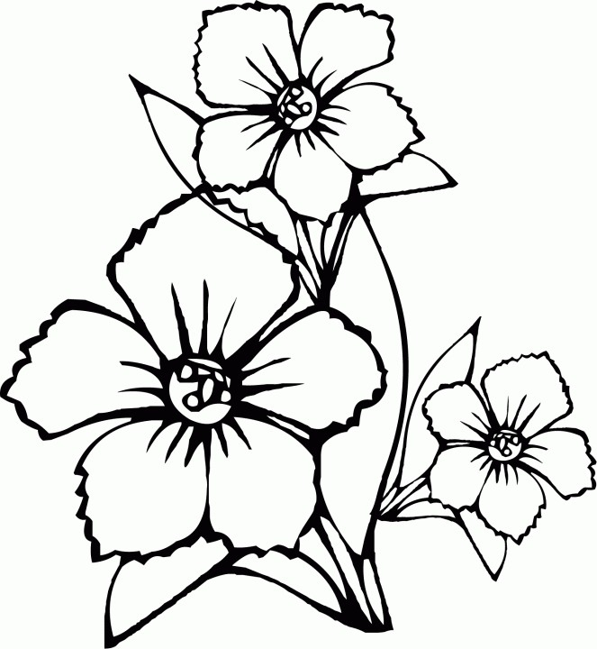 663x720 Coloring Pages Kids Flowers Iphone Coloring Coloring Pages