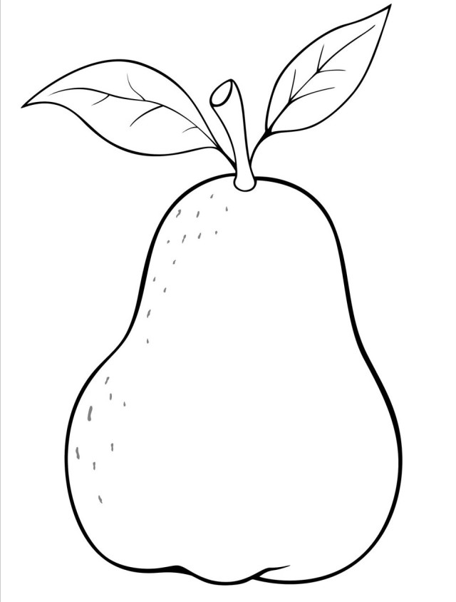 640x844 Pear Clipart Coloring