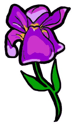 250x412 Iris Clipart