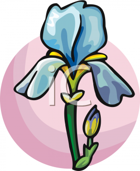 285x350 Iris Clipart Cartoon
