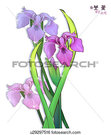 385x470 Iris Flower Clip Art