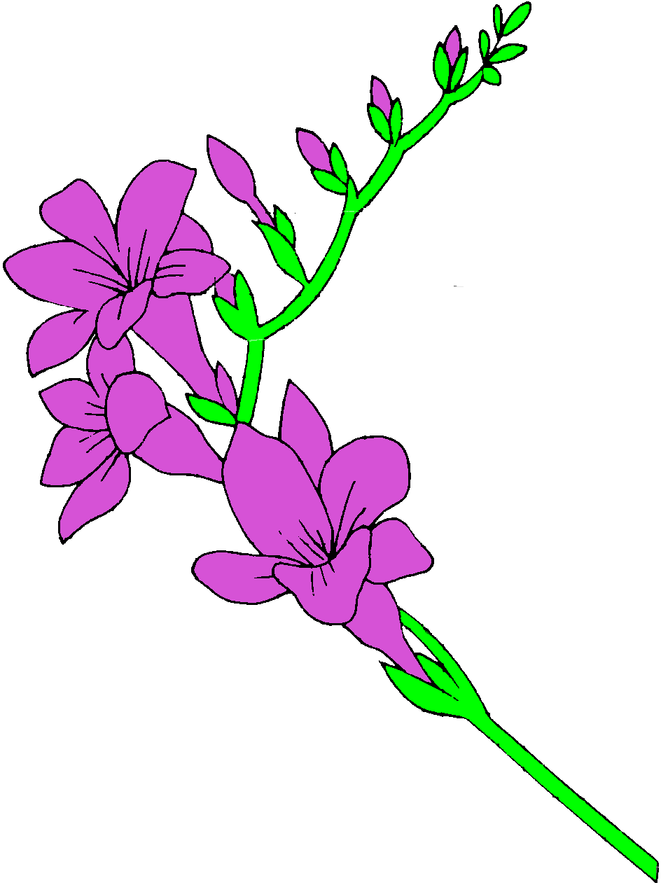 944x1264 Iris Flower Clip Art