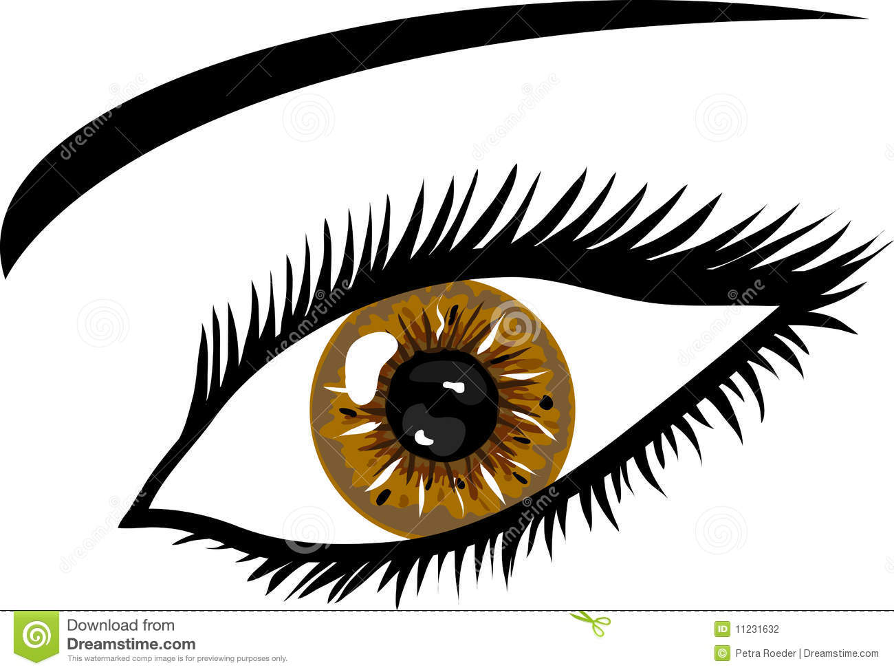 1300x977 Brown Eyes Clipart Iris Eye