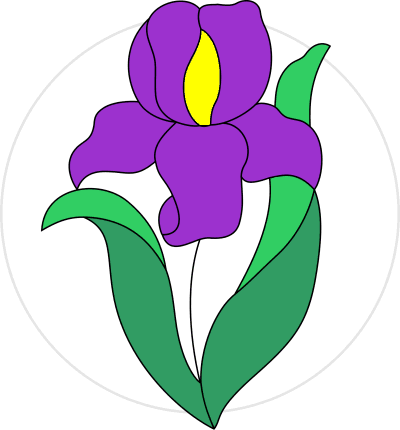 400x430 Iris Pattern