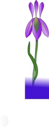166x425 Purple Iris Flower Clip Art Download 1,000 Clip Arts