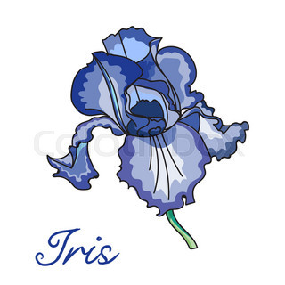 320x320 Romantic Floral Background With Iris Flowers Stock Vector