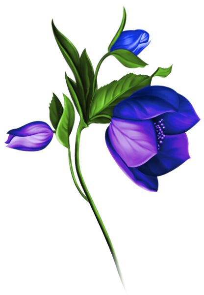 416x600 158 Best Blommor. Images Fruit, Paintings And Pictures