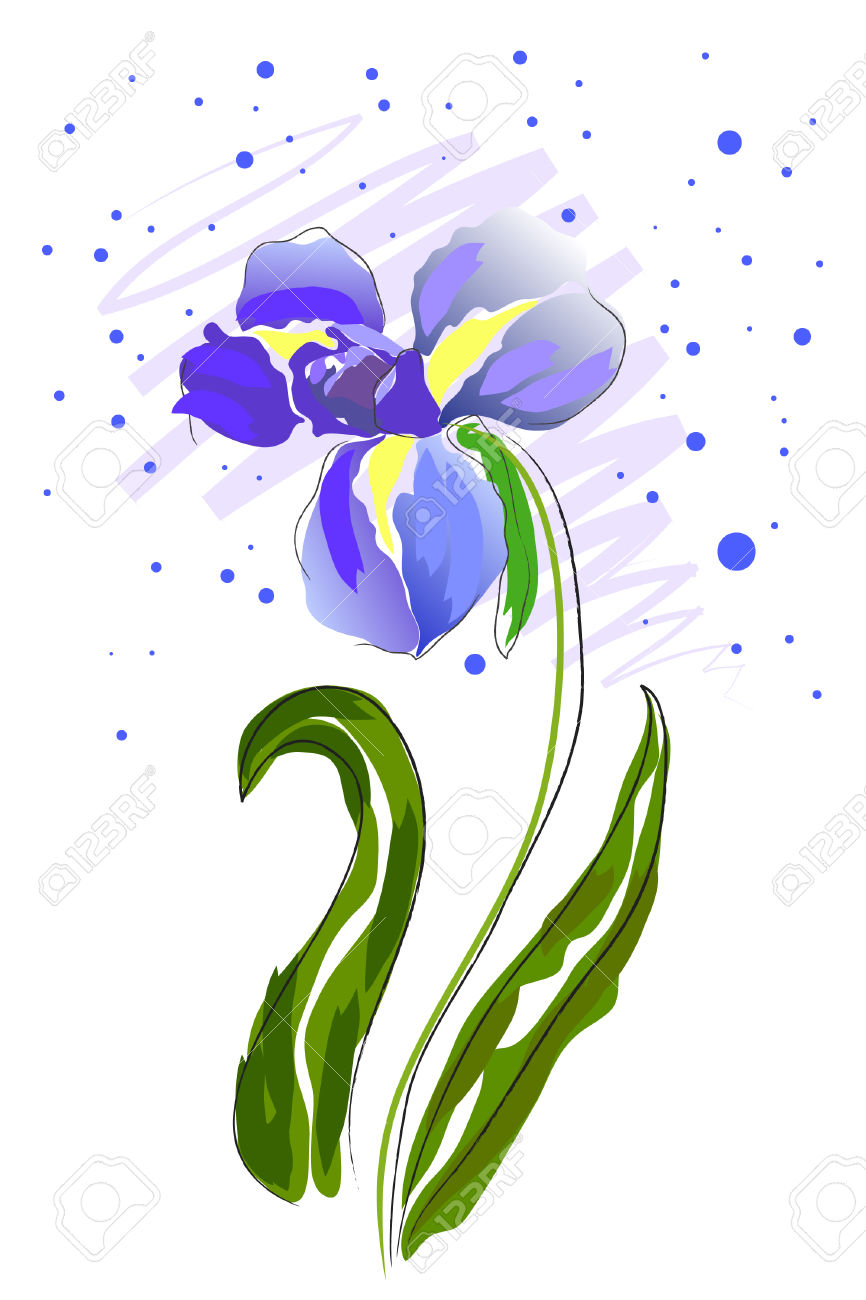 866x1300 Top 97 Iris Flower Clip Art