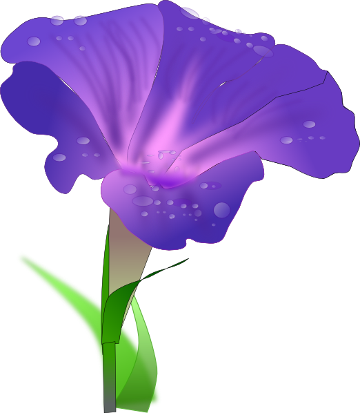522x598 Top 97 Iris Flower Clip Art