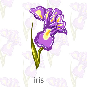 300x300 Vector Flower Iris