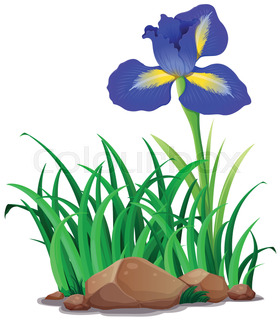 280x320 Vector Pot Cactus With Flowers Stock Vector Colourbox