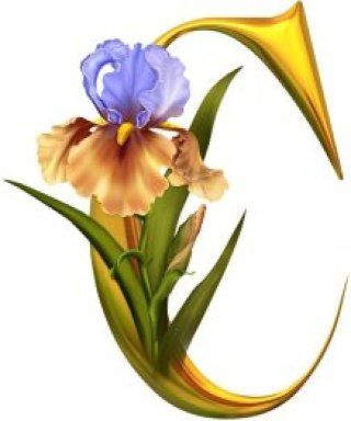 320x384 60 Best 1 Alphabet, Iris On Gold Images Letters