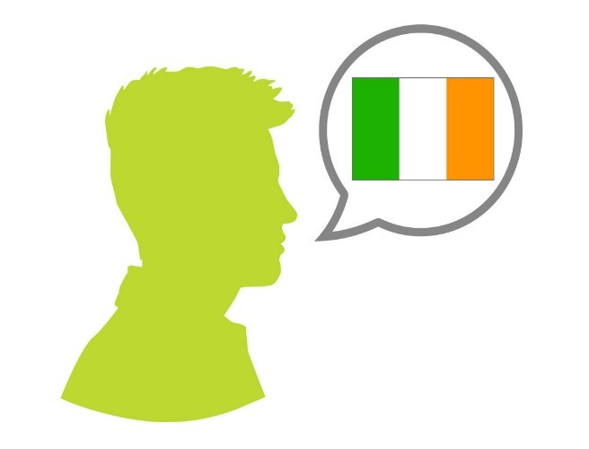 656x500 I Don'T Want My Child Learning Irish