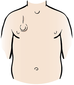 260x300 Iv Port Chest Clip Art Cliparts