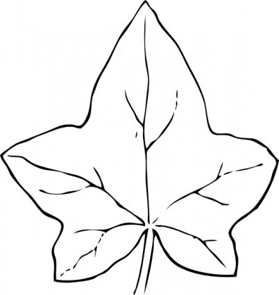 402x425 Ivy Leaf, Vector File