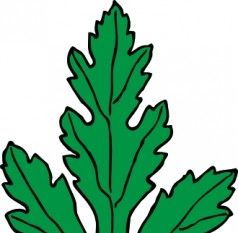 238x233 Ivy Leaf Clip Art Free Vectors Ui Download