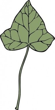 190x382 Ivy Vine Clip Art Download 167 Clip Arts