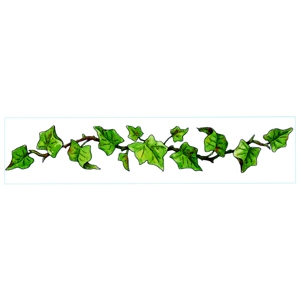 300x300 Ivy Clipart Frame