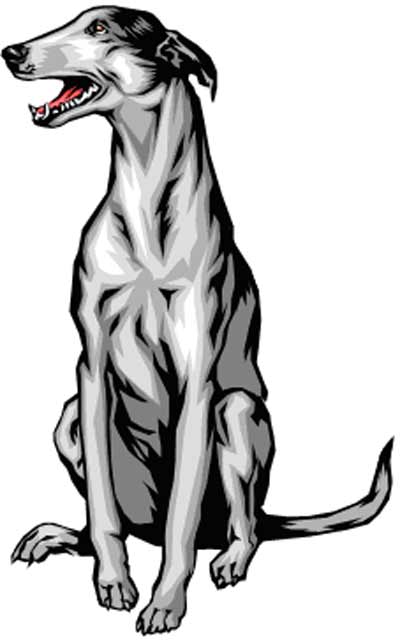 400x643 Greyhound Dog Clipart Clipart Panda