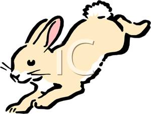 300x227 Jack Rabbit Clipart Rabbit Hopping