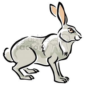 Jack Rabbit Clipart | Free download on ClipArtMag