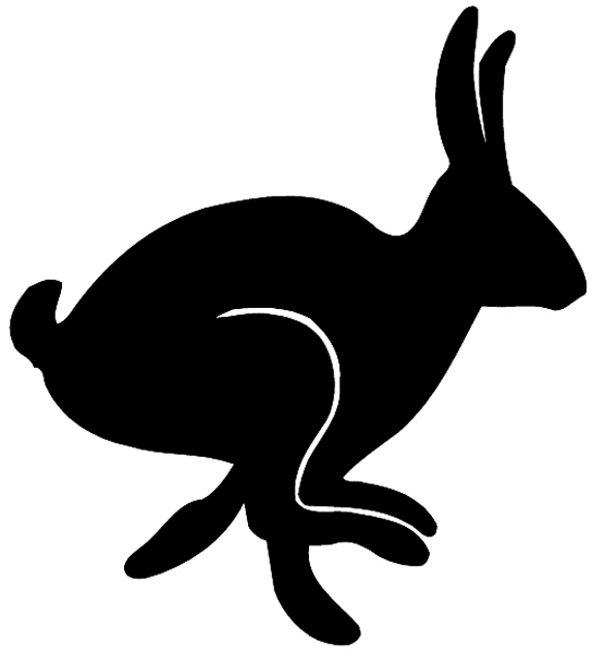 544x600 Top 96 Jackrabbit Clipart