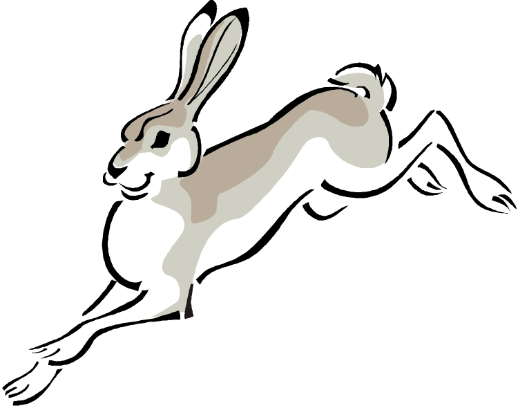 Jack Rabbit Clipart | Free download on ClipArtMag