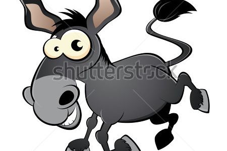 Collection of Jackass clipart | Free download best Jackass clipart on ...