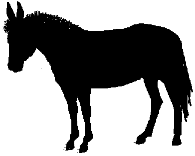 391x314 Jackass Clipart Clipart Panda