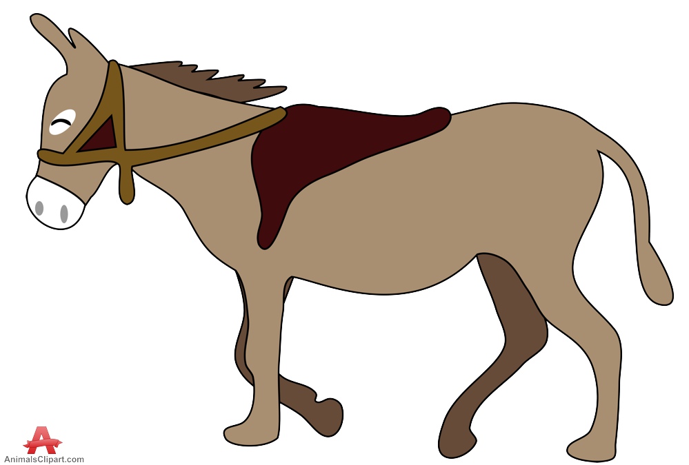 999x675 Skeleton Clipart Donkey