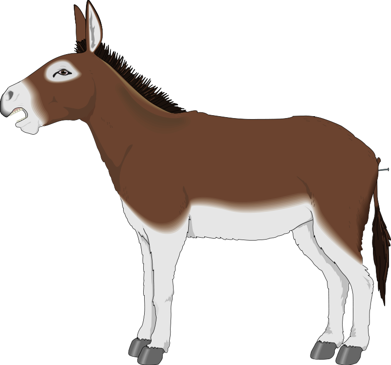 800x748 Animl Clipart Donkey