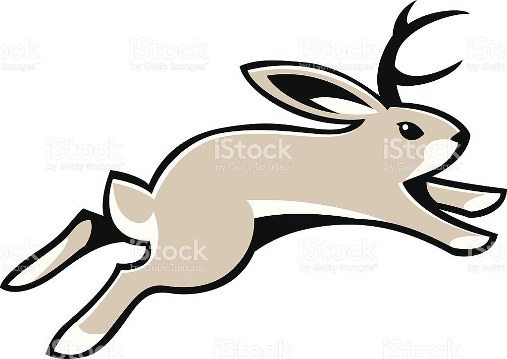 1024x724 Jack Rabbit Clipart Cartoon