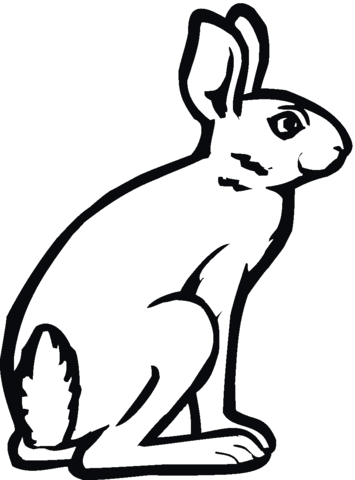 355x480 Jackrabbit Coloring Page Free Printable Coloring Pages