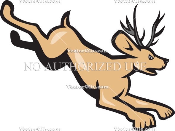 590x442 Top 97 Jackrabbit Clip Art