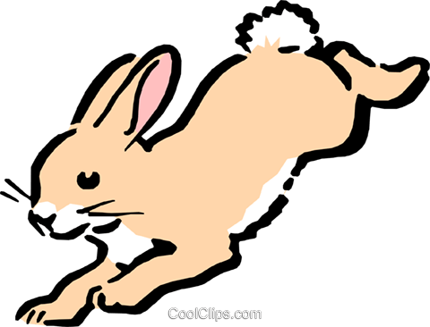 Jackrabbit Clipart | Free download on ClipArtMag