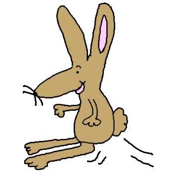 360x360 Top 96 Jackrabbit Clipart