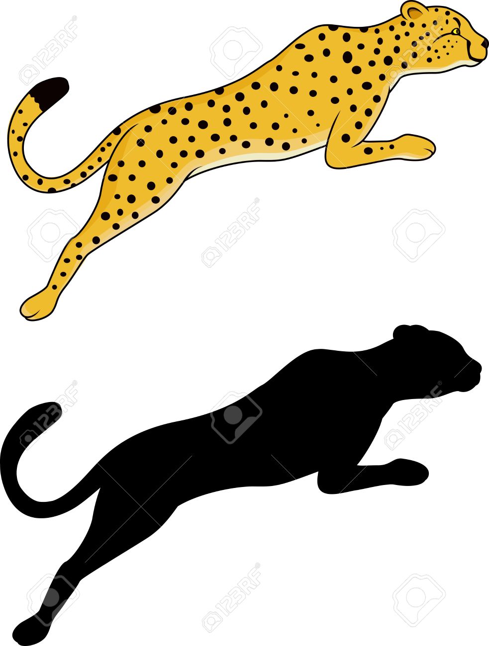 983x1300 White Tiger Clipart Jaguar