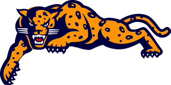 600x300 Jaguar Cartoon Pictures Matatarantula