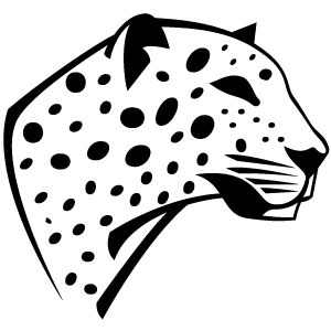 300x300 Leopard Vector Image