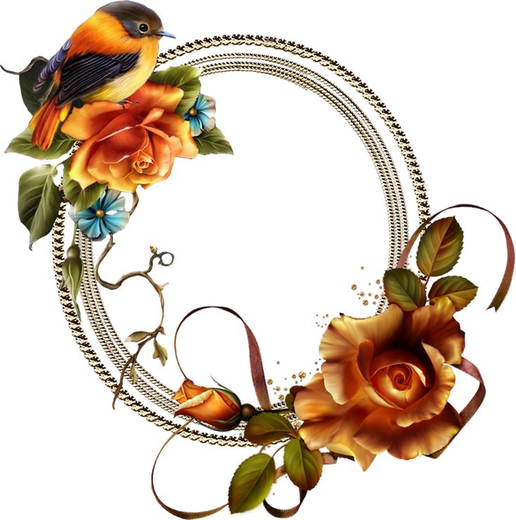 736x741 7188 Best Frames Images Card Book, Fantasy And Frames